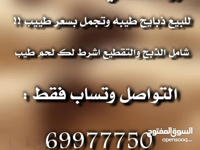 للبيع ذبايح شفالي بسعر طيييب !!