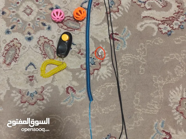 للبيع منتجات طيور