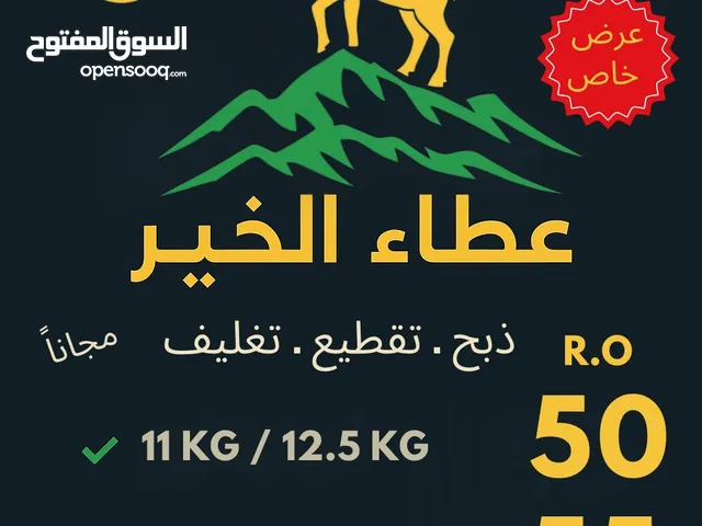ذبائح تيوس حجم وسط