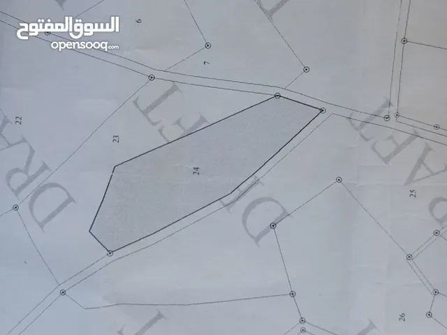 Farm Land for Rent in Tafila Al-Ayes