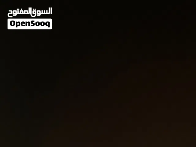 مطلوب قط عمر زين مع اغراضه للتبني