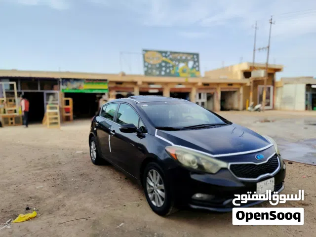 فورتي 2014 هاج باك