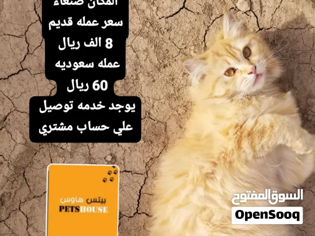 اقرا اواصف سعر ولا بخيال سعر الواحد 8 الف عرطه الاثين 16 الف نهايه