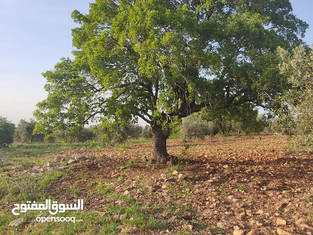 قطعة ارض للبيع 7.700 متر قوشان مستقل