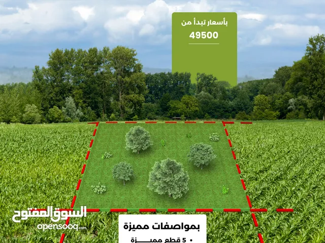 Residential Land for Sale in Amman Naour