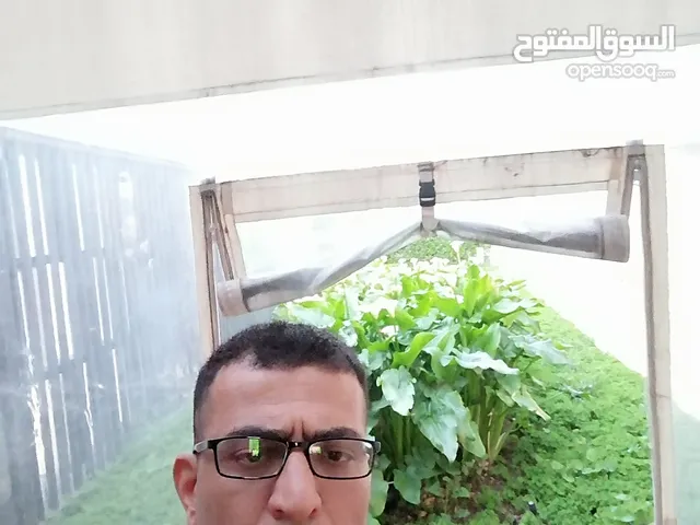 محمود اسماعيل محمد ياغي