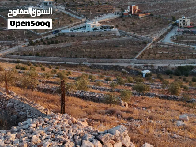 Farm Land for Sale in Mafraq Dahl