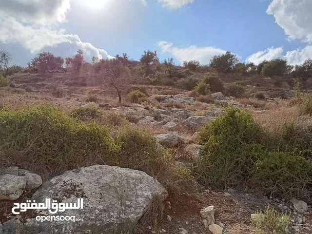 أرض جبليه للبيع او البدل في عنبتا تصنيف (أ) واصلها خدمات مالك واحد مفروزه