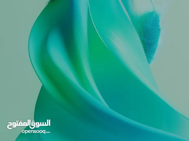 اريد جرو جيرمن شيبرد شو لاين او وورك لين مش هتفرق المهم دم الكلب يكون حامي +السعر من 1500ل 2500