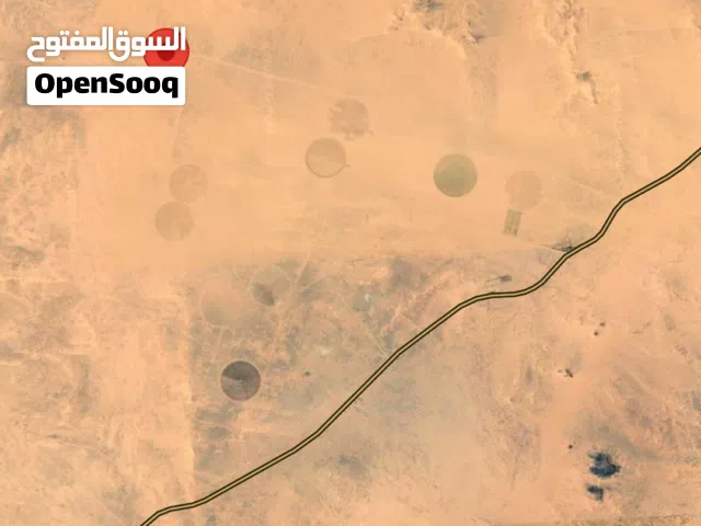 Farm Land for Sale in Northern Sudan Al-Dabbah