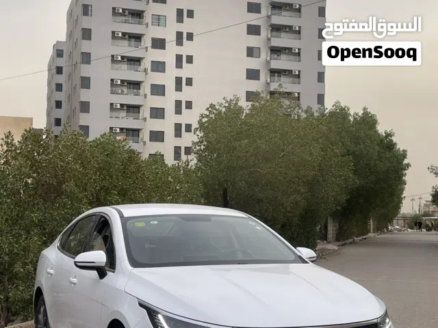 بي واي دي ستروير 2025