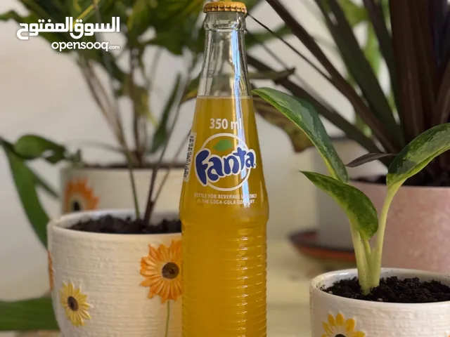 بازات مشروف الفانتا