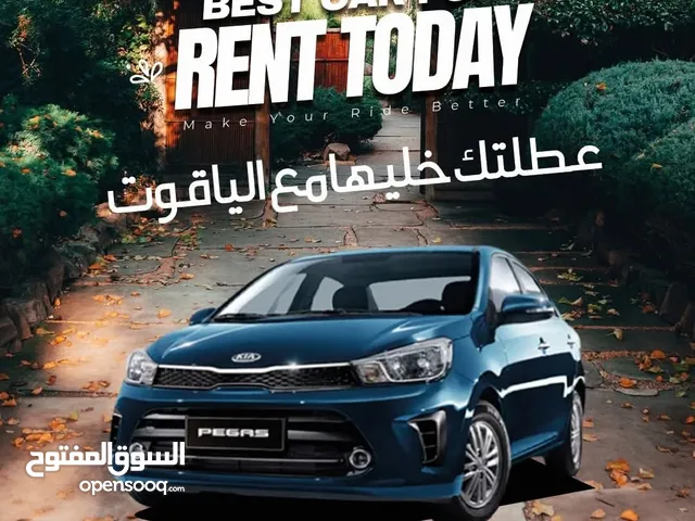 2025, كيا, بيجاس, Standard