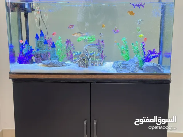 Fish tank with fish’s for sale