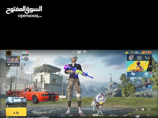 Pubg Accounts and Characters for Sale in Sharjah