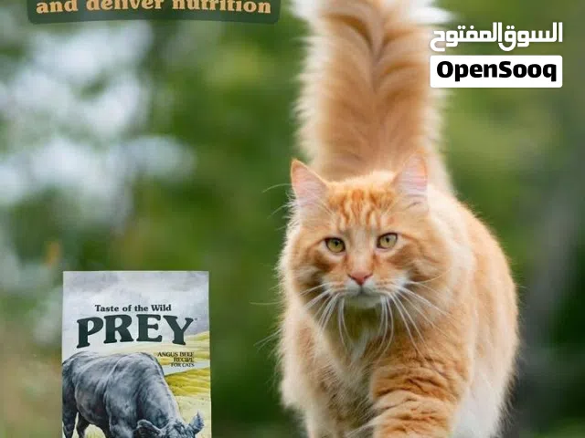 Premium Pet Cat Food