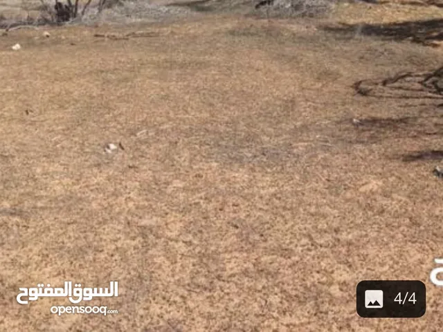Residential Land for Sale in Qasr Al-Akhiar Other