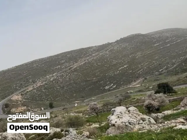 ارض للبيع في بيتين مساحة 2 دونم
