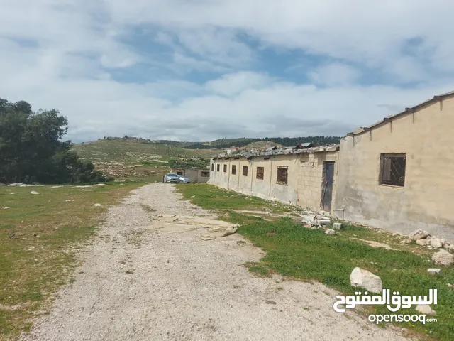 Farm Land for Sale in Mafraq Nadira