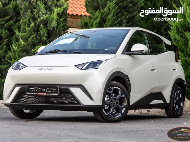 New BYD Seagull in Amman