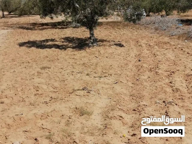 Mixed Use Land for Sale in Medenine Other