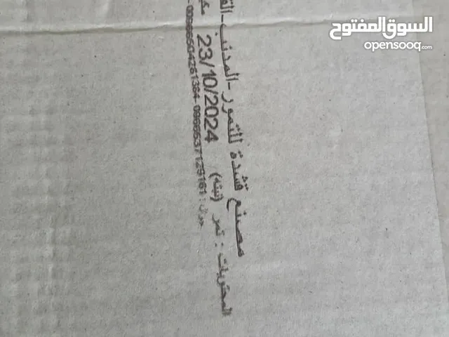تمر برحي ونبتتة علي
