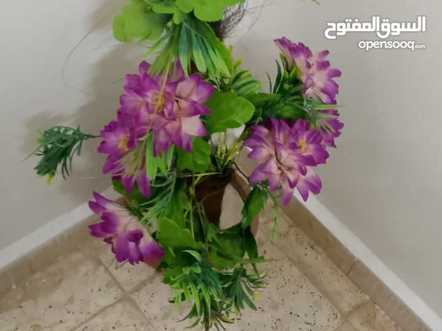 نباتات زينة صناعية داخلية وخارجية لساتها جديدة