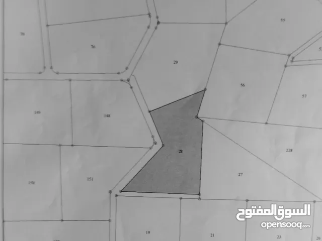 قطعتين ارض متجاورتين
