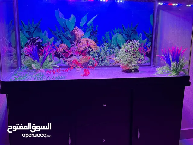 معروض للبيع **حوض أسماك كبير** شامل الكبت والاكسسوارات