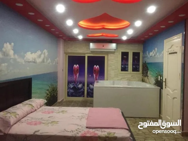 Roof Garden Apartments for sale - Alexandria street by the beach  شقة رووف للبيع - أول شارع ايكندرية