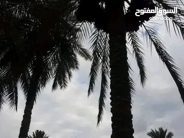 عندي مبني قديم ع طريق الرئيسي قرب السفارة قرجي ثلاجة واجهات تجاري اقرا تحت كويس
