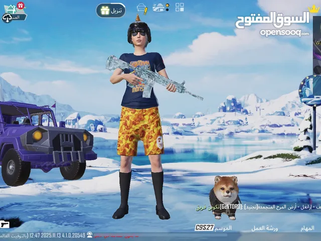 Pubg Accounts and Characters for Sale in Central Governorate