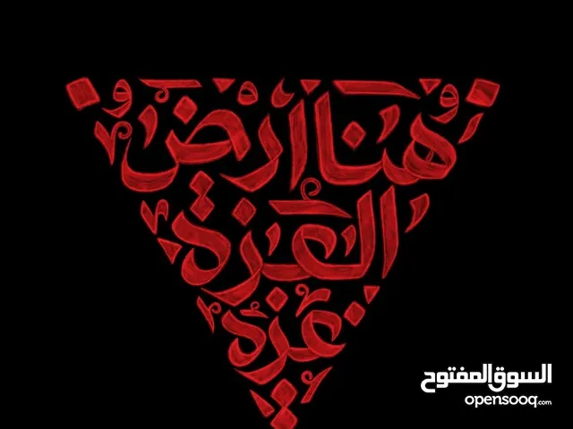 Omar Alsaleh