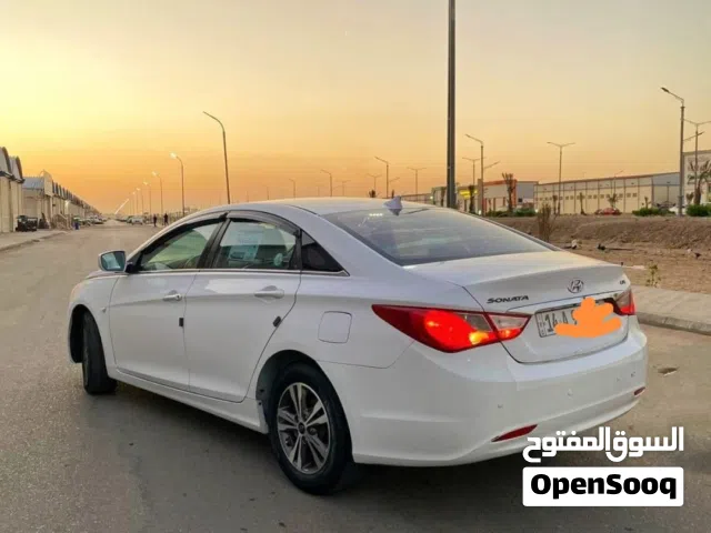 سوناتا 12 كوري بسمي بيضه مكفولة