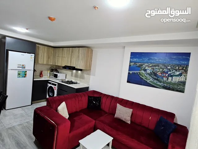 73 m2 1 Bedroom Apartments for Rent in Erbil Sarbasti