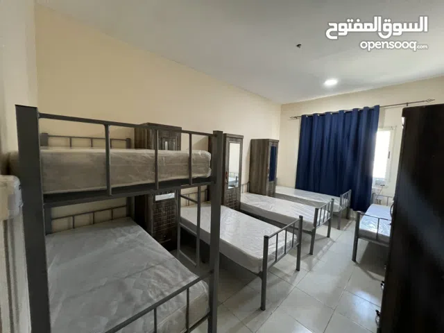 سكن شباب عرب للأجار