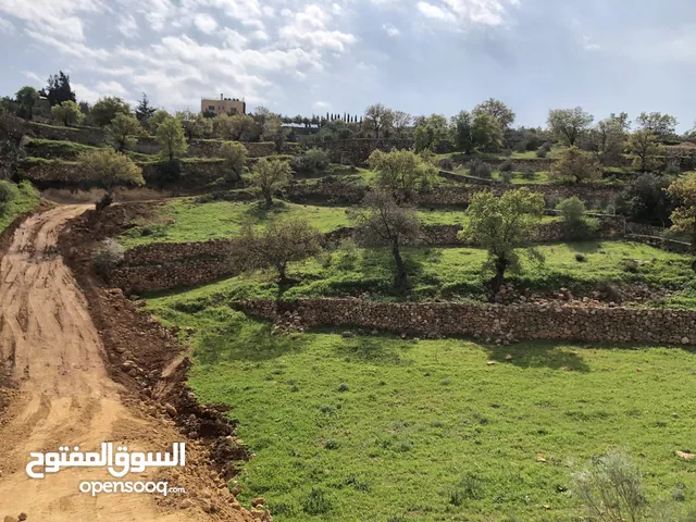 Farm Land for Sale in Salt Al Subeihi