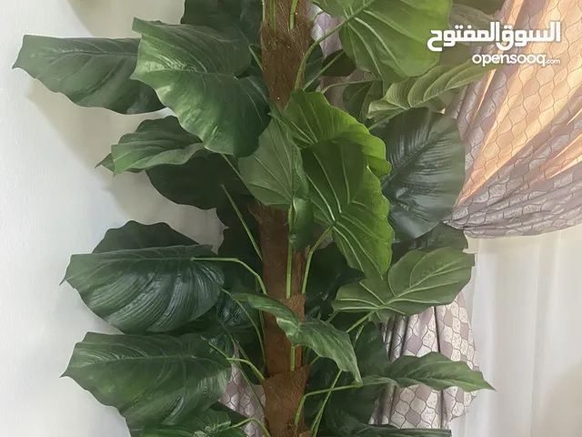 Tall Artificial Indoor Plant – Excellent Condition