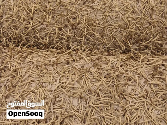 لوازم بيت مفروشات