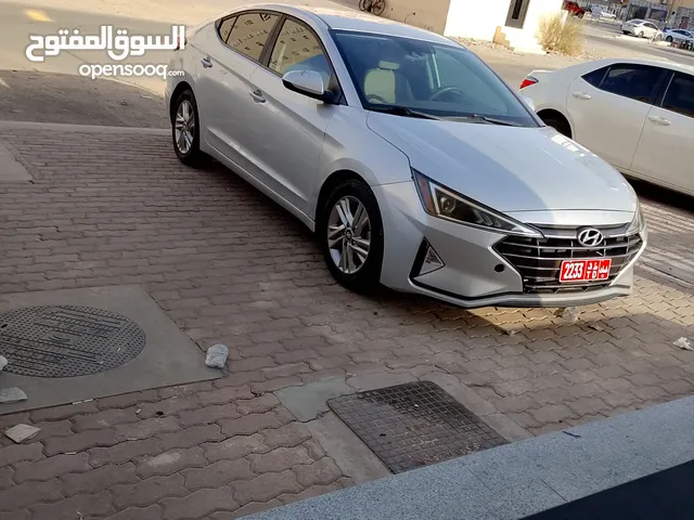 مطلوب مقهي شيشه لايجار والاستثمار