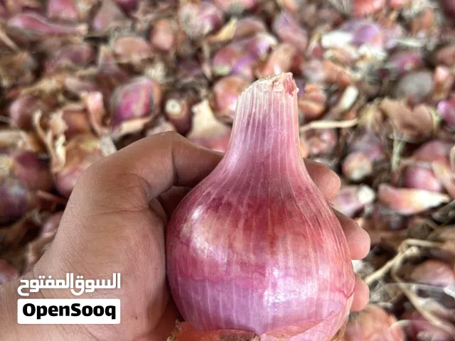 بصل انتاج بهلا الصورة لحضة الحصاد والبيع بعد التنظيف بصل محلي الكمية محدودة