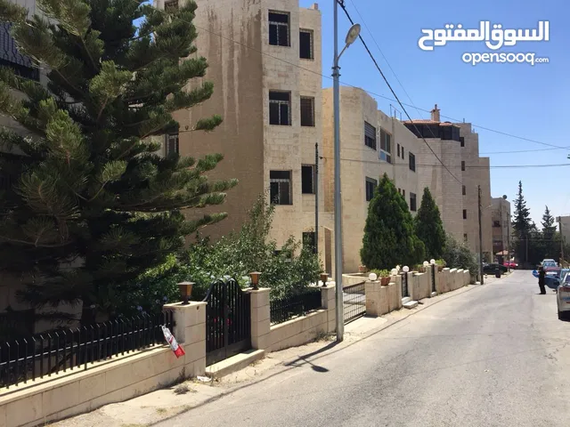 شقة غير مفروشة للإيجار 250م2 ( Property 10794 ) سنوي فقط