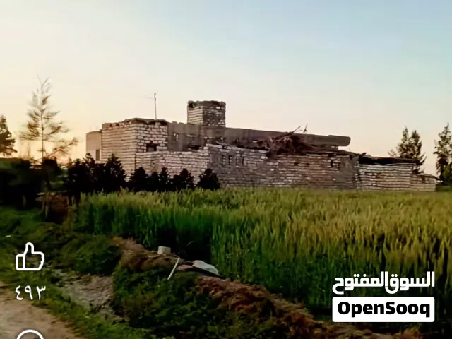 مشاركه سكن بشقه بابو حليفه ق2 عماره الدبوس الدور الأرضي