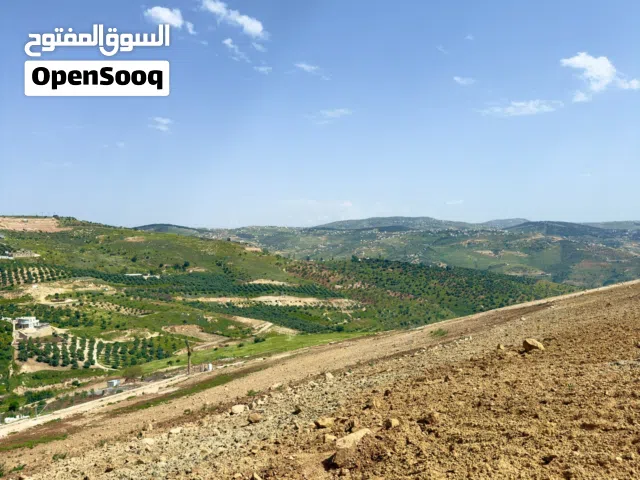 للبيع – مشروع تلال المجدل – جرش/مساحه 3 دنم أراضي بإطلالة خيالية وسعر مغري