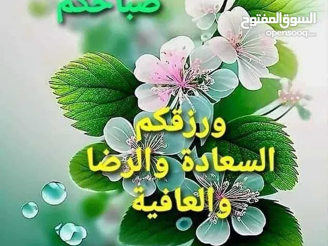 تنسيق حدائق منزليه وملاعب الكرة