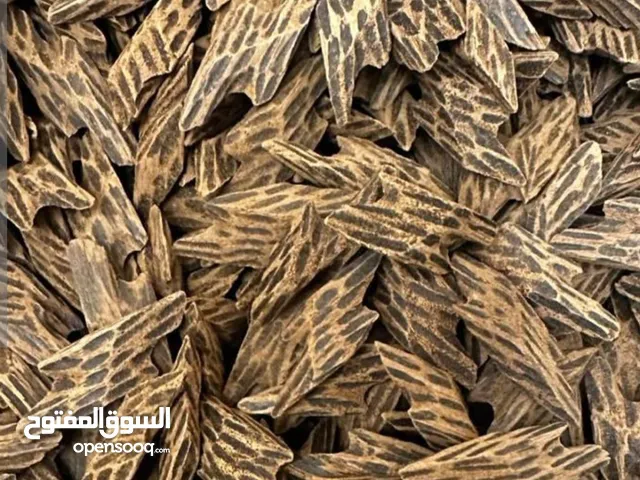 عود التايجر ذات الرائحه العتيقه وبسعر في المتناول