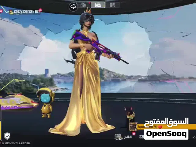 Pubg Accounts and Characters for Sale in Amman