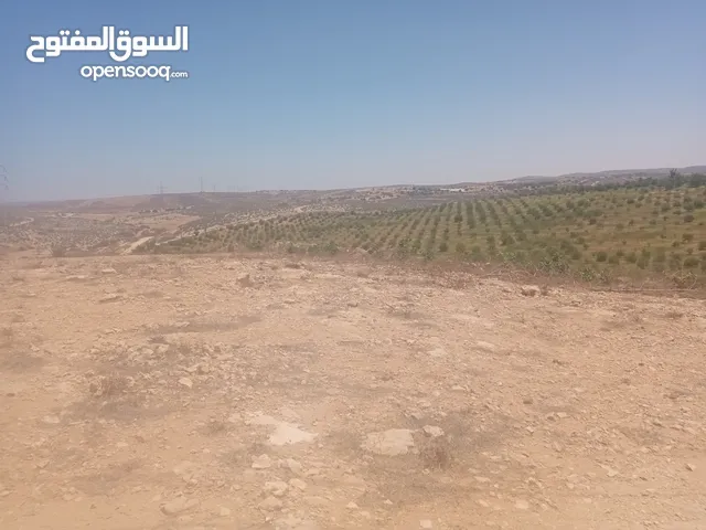 ارض قريبه لشاطئ البحر بسوق الخميس للبيع بسعر مغري