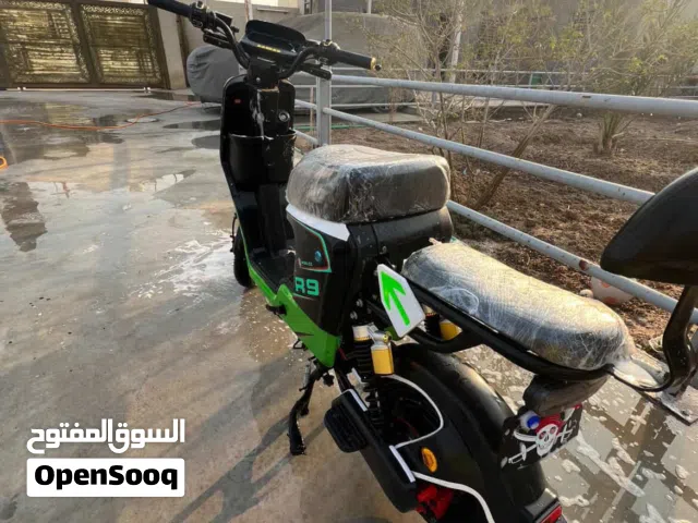 2026 اخرى اخرى