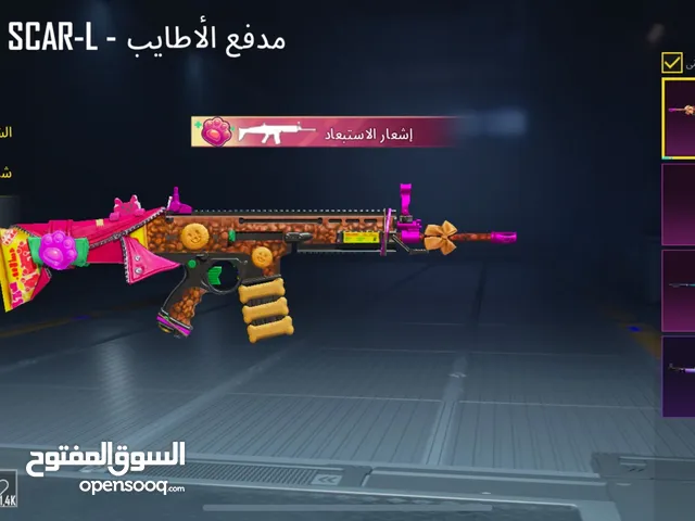 Pubg Accounts and Characters for Sale in Dohuk
